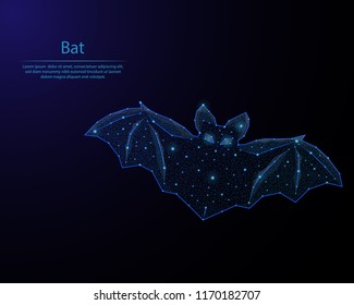 Abstract image of a bat in the form of a starry sky or space, consisting of points, lines, and shapes in the form of planets, stars and the universe. Low poly vector background.