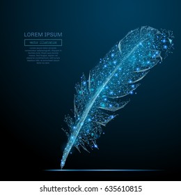 Abstract image of Bird feather of a starry sky or space, consisting of points, lines, and shapes in the form of planets, stars and the universe. Vector business