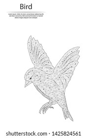 Abstract image bird in the form of lines and dots, consisting of triangles and geometric shapes. Low poly vector background.