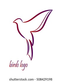 
abstract image of a bird. logo
