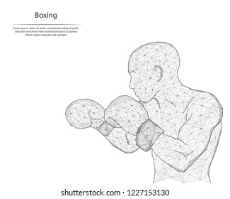 Abstract image boxer in the form of lines and dots, consisting of triangles and geometric shapes. Low poly vector background.