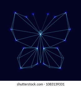 Abstract image of butterfly. Dots and lines connected. Low poly illustration in the form of a starry sky or space.