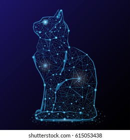 Abstract image of a cat in the night sky and space. Consisting of points and lines.
