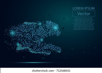 Abstract image of cheetah made of dots, points and mash lines on dark background with an inscription. Business net speed vector illustration. Polygonal, geometry triangle. Low poly vector background. 