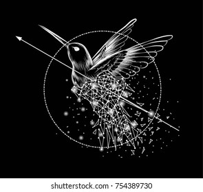 Imagen abstracta de un dibujo de colibri, que consiste en puntos, líneas y formas en forma de planetas, estrellas y el universo. Concepto de alambre vectorial Colibri.Perfecto para invitación, tarjeta de saludo, logotipo