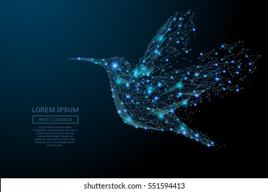 Abstract image of a colibri in the form of a starry sky or space, consisting of points, lines, and shapes in the form of planets, stars and the universe. Colibri vector wireframe concept.