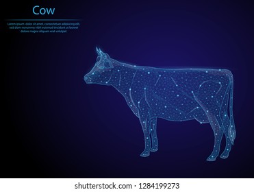 Abstract image Cow in the form of a starry sky or space, consisting of points, lines, and shapes in the form of planets, stars and the universe. Low poly vector background.