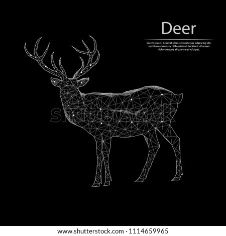 Similar – Ein wilder Rothirsch, Cervus elaphus, isoliert auf schwarzem Hintergrund