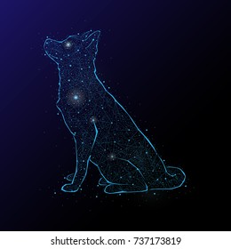 Abstract image of a dog in the night sky and space. Consisting of points and lines.