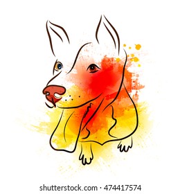 Abstract image of the dog on the background of colorful blots. Funny dog 