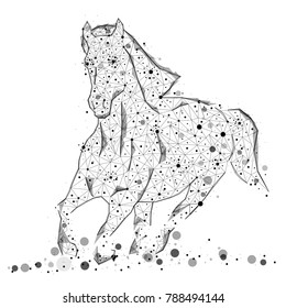 Abstract Image Of A Horse On A White Background In The Form Of A Constellation Consisting Of Points And Lines