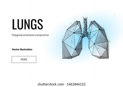 12,063 Lung Anatomy Images Images, Stock Photos & Vectors 