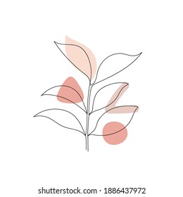 Abstract image of leaves isolated on white.