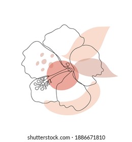 Abstract image in a linear style of a flower on white. Vector illustration.