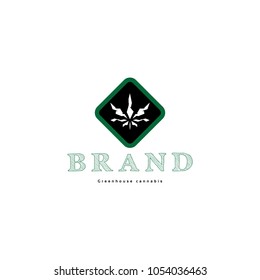 Abstract image of marijuana.