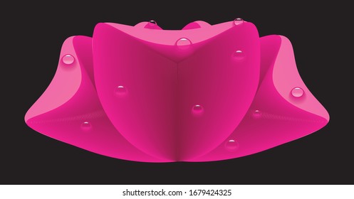 Abstract image of Pink flower with drops of water on the petals. Suitable for postcards, logotype, emblems, patterns on fabric, wallpaper