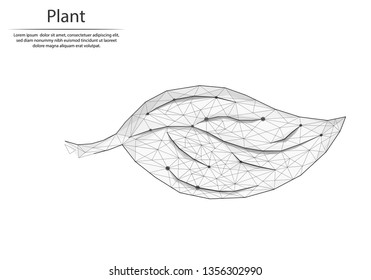 Abstract image plant in the form of lines and dots, consisting of triangles and geometric shapes. Low poly vector background.