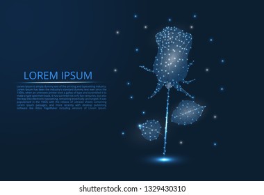 Abstract image of a rose, polygonal image. Night flower