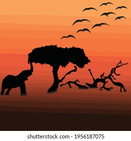 abstract image of safari, elephant eating leaves from a tree at sunset, elephant in africa, sunset