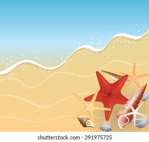 Abstract image of the sea. Seashore.