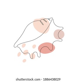 Abstract image of a seashell isolated on white.