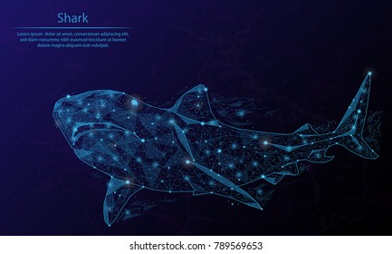 Abstract image of a shark in the form of a constellation. Consisting of lines and dots.