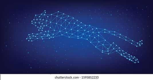 Abstract image of tiger in the form of a starry sky or space, consisting of points, lines,  Vector head of animals.