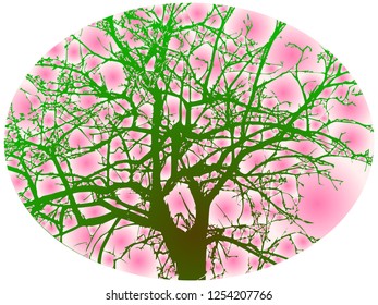 Abstract image of a tree in spring. Tree with green branches, but without leaves. Large tree with spring white pink background. Oval picture.
