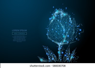 Abstract image of a tulip in the form of a starry sky or space, consisting of points, lines, and shapes in the form of planets, stars and the universe. Vector business