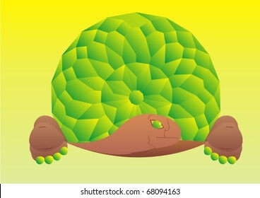 Abstract image of a turtle shell with an emerald.