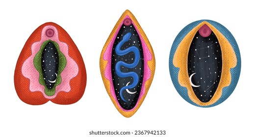 imagen abstracta de una vagina. espacio exterior, planetas, luna y estrellas. tentador de serpientes y hierbas vegetales. impresión en tela y papel. feminismo radical. vector