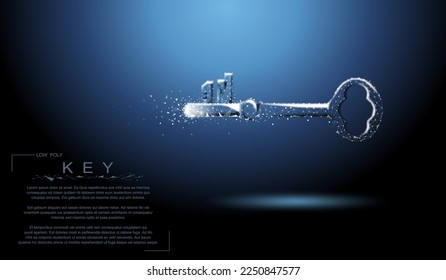 Abstract image of a vintage key in the form of a starry sky or space, consisting of points, lines, and shapes in the form of planets, stars and the universe. Vector business wireframe concept.