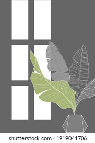 Abstract image of a window and tropical leaves on a gray background.