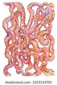 Abstract, imaginary illustration of guts like tubes, with freehand drawn overlapping, dense marker lines