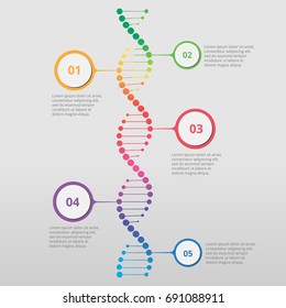 Abstract infographic DNA ,can be used for workflow layout, diagram, number options