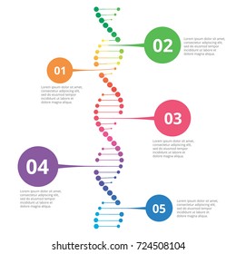 Abstract infographic DNA ,can be used for workflow layout, diagram, number options