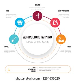 Abstract infographics of agriculture farming template. Shovel, Shed, Shears, self-sufficient, Seed icons can be used for workflow layout, diagram, business step options, banner, web design.