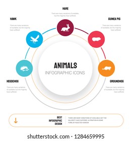 Abstract infographics of animals template. Hegdehog, Hawk, Hare, Guinea pig, Groundhog icons can be used for workflow layout, diagram, business step options, banner, web design.