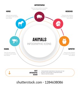 Abstract infographics of animals template. iguana, Horse, Hippopotamus, Hedgehog, Hamster icons can be used for workflow layout, diagram, business step options, banner, web design.