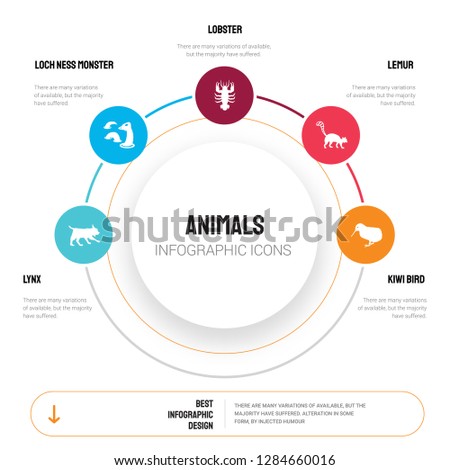 Abstract infographics of animals template. Lynx, Loch ness monster, Lobster, Lemur, Kiwi bird icons can be used for workflow layout, diagram, business step options, banner, web design.