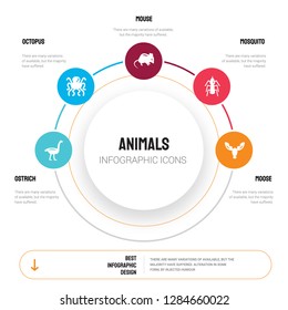 Abstract infographics of animals template. Ostrich, Octopus, Mouse, Mosquito, Moose icons can be used for workflow layout, diagram, business step options, banner, web design.