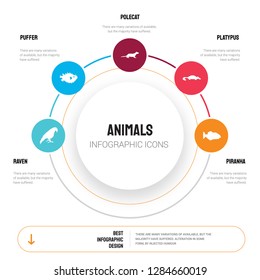 Abstract infographics of animals template. Raven, Puffer, Polecat, Platypus, Piranha icons can be used for workflow layout, diagram, business step options, banner, web design.