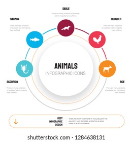 Abstract infographics of animals template. Scorpion, Salmon, Sable, Rooster, Roe icons can be used for workflow layout, diagram, business step options, banner, web design.