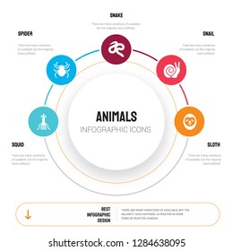 Abstract infographics of animals template. Squid, Spider, Snake, Snail, Sloth icons can be used for workflow layout, diagram, business step options, banner, web design.