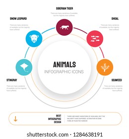Abstract infographics of animals template. Stingray, Snow leopard, Siberian tiger, Shoal, Seaweed icons can be used for workflow layout, diagram, business step options, banner, web design.