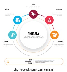 Abstract infographics of animals template. Toucan, Tiger, Swan, Starfish, Squirrel icons can be used for workflow layout, diagram, business step options, banner, web design.