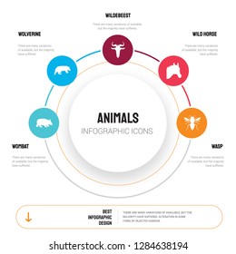 Abstract infographics of animals template. Wombat, Wolverine, Wildebeest, Wild horse, Wasp icons can be used for workflow layout, diagram, business step options, banner, web design.