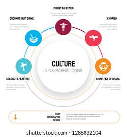 Abstract infographics of culture template. Coconuts palm tree Brazil, Coconut fruit drink with straw icons can be used for workflow layout, diagram, business step options, banner, web design.