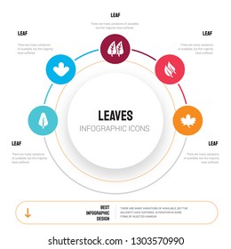 Abstract infographics of leaves template. leaf, leaf icons can be used for workflow layout, diagram, business step options, banner, web design.