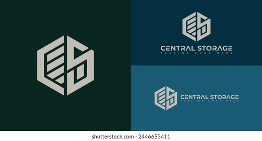 Abstract initial hexagon letter TG or GT logo in luxury gold color isolated on multiple green and blue background colors. The logo is suitable for self-storage company logo icons to design inspiration